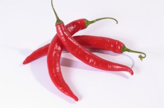 Chilli papričky