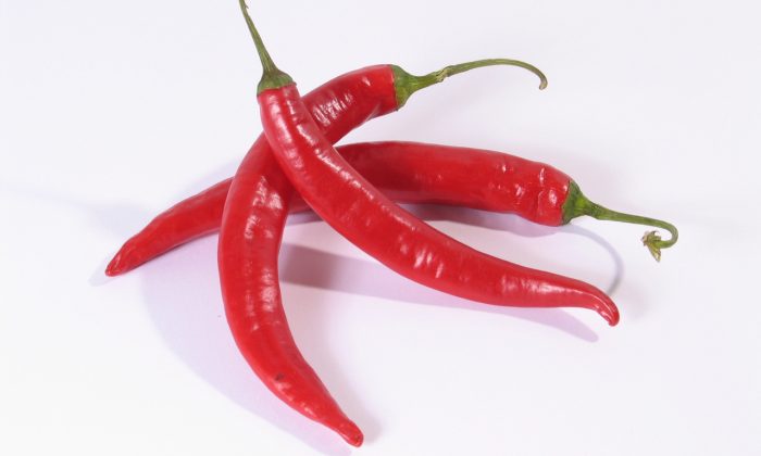 Chilli papričky