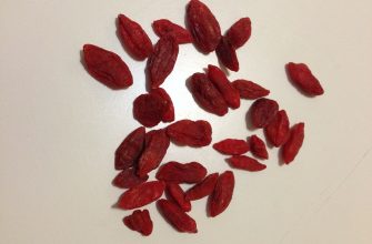 Goji