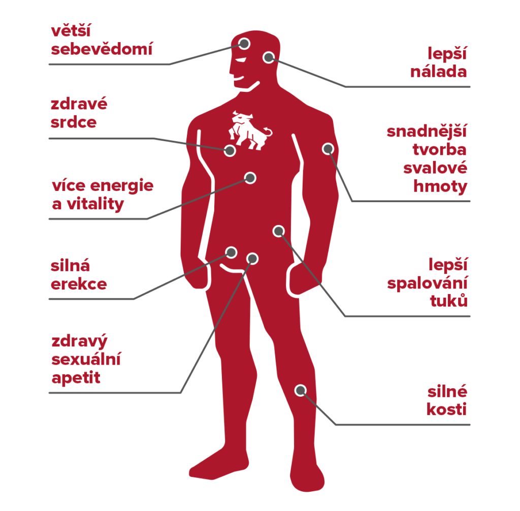 Vysoká hladina testosteronu