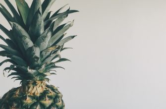 Ananas