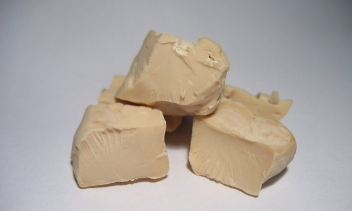 Droždí
