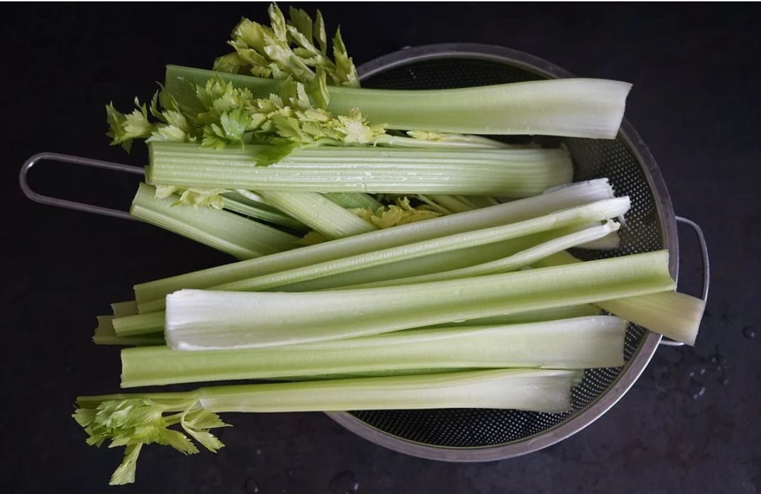 Celer rapikaty
