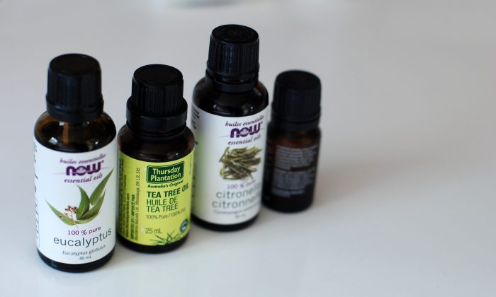 Tea Tree