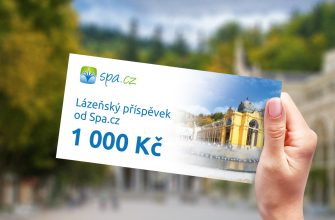 Příspěvek