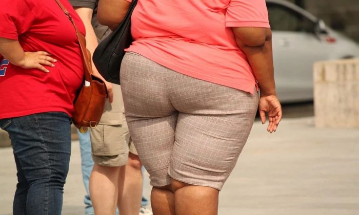 Obezita