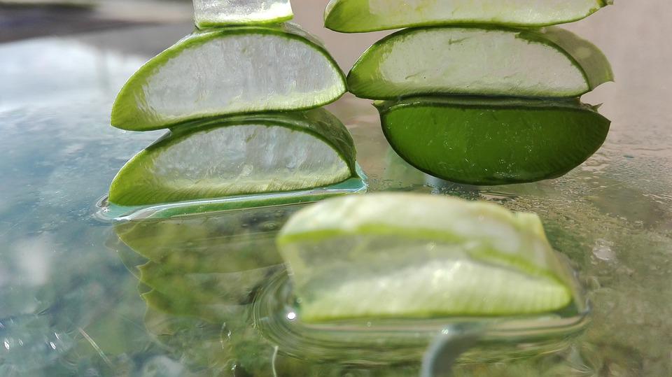 Aloe vera