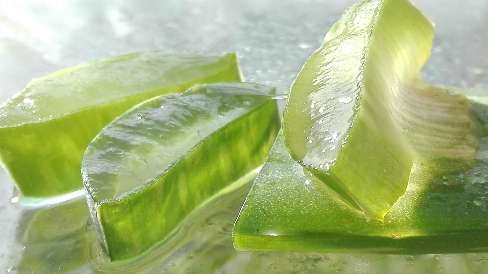 Aloe Vera