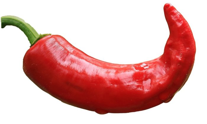 Chilli paprička