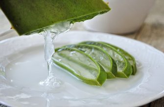 Aloe vera