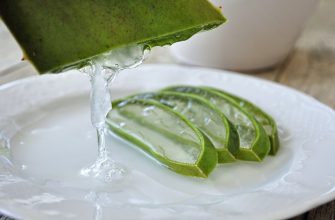 Aloe vera