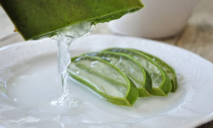 Aloe vera