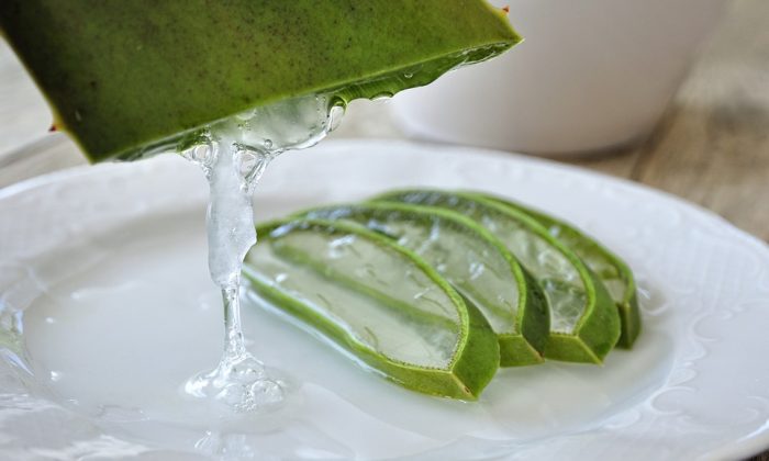 Aloe vera