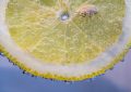 Citron