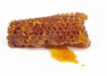 Propolis