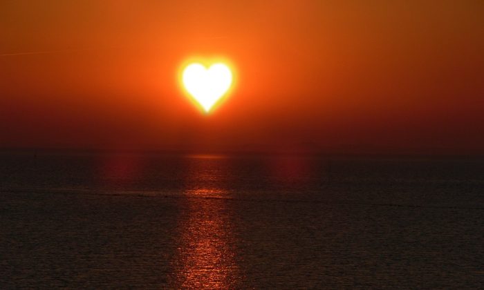 Vitamín D