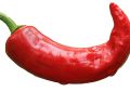 Chilli