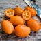 kumquat