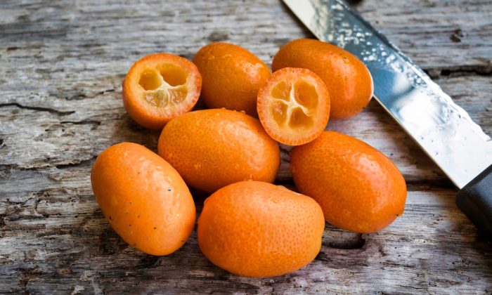 kumquat