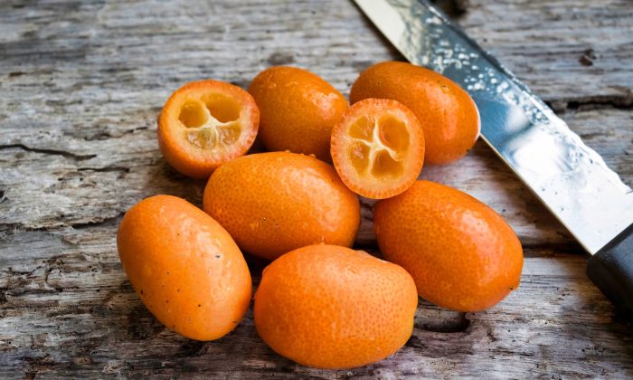 kumquat