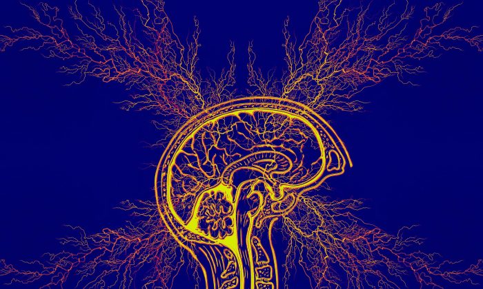 Epilepsie