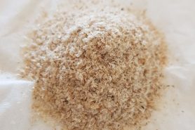 Psyllium
