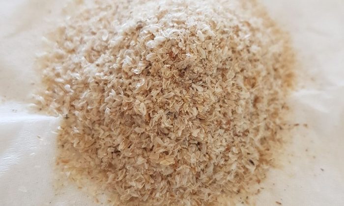 Psyllium