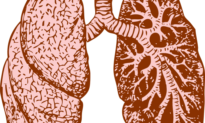 Spirometrie