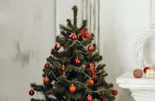Stromeček