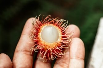 Rambutan