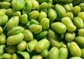 Edamame - Fytoestrogeny