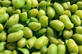 Edamame - Fytoestrogeny