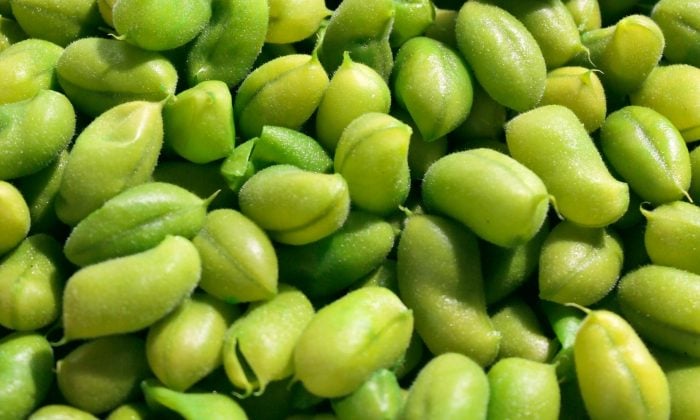 Edamame - Fytoestrogeny