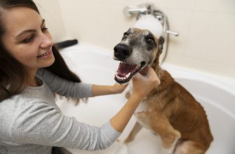 Woman bathing a dog in a tub, holding its head as bubbles sit on its fur and smiley dog shows open mouth joy