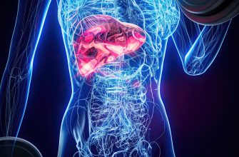 Transparent torso showing a pink-highlighted heart with a blue neural and vascular network throughout the body. The chest area emphasizes the heart within an anatomical illustration.