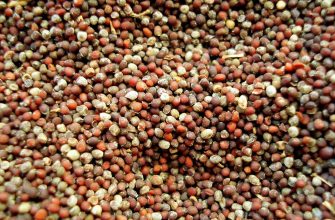 Close-up of small pink, red, and beige peppercorns scattered together as a spice mix.
